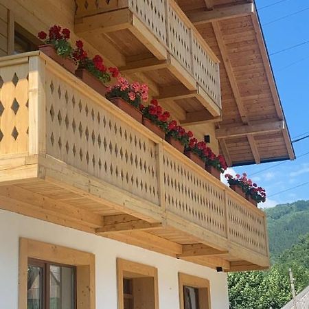 Anahouse Hotel Vişeu de Sus Екстериор снимка