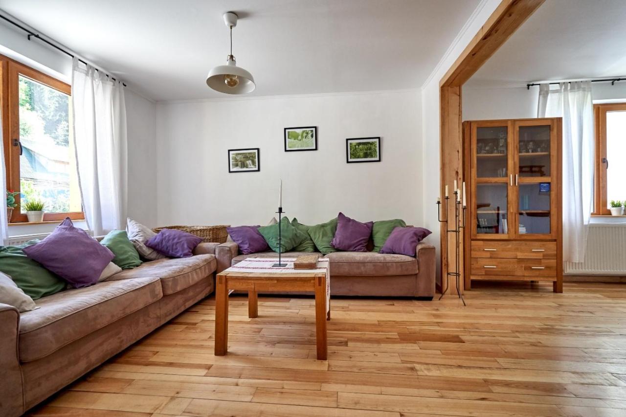 Anahouse Hotel Vişeu de Sus Екстериор снимка