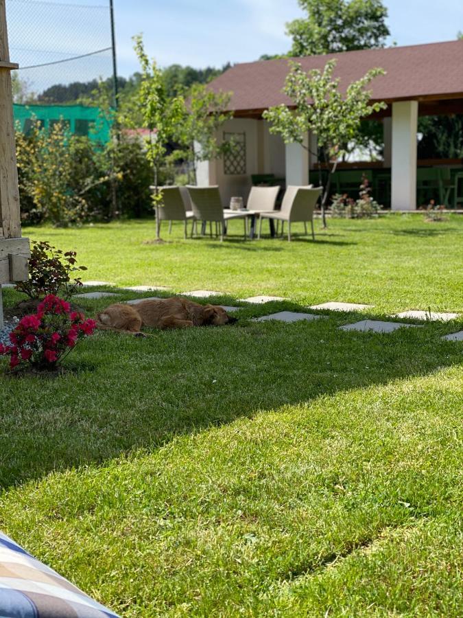 Anahouse Hotel Vişeu de Sus Екстериор снимка