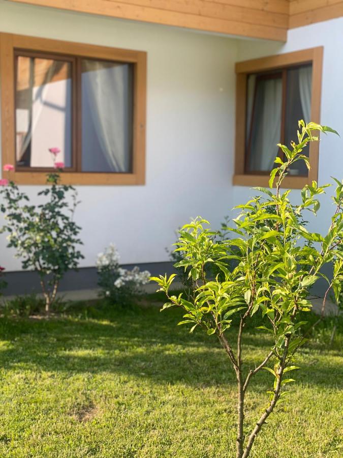 Anahouse Hotel Vişeu de Sus Екстериор снимка
