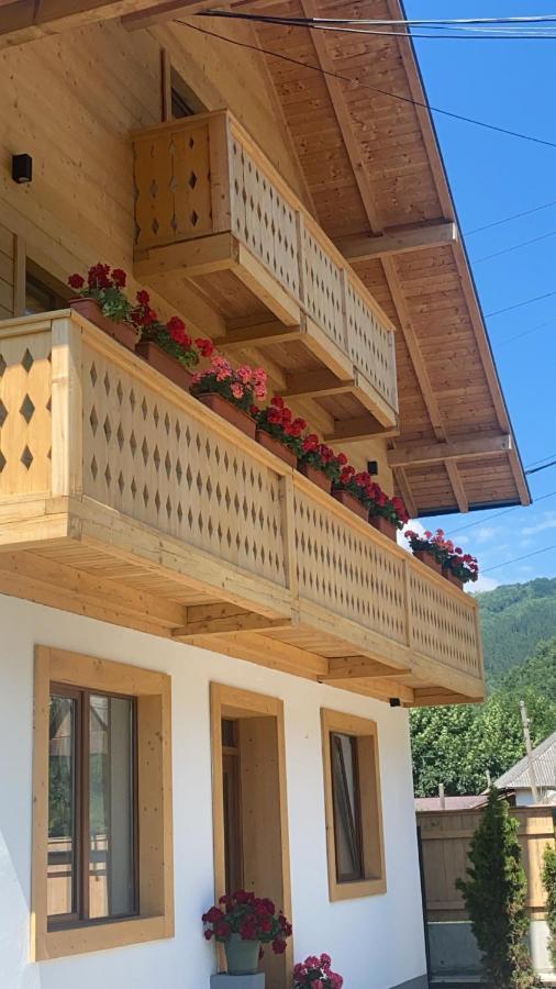 Anahouse Hotel Vişeu de Sus Екстериор снимка