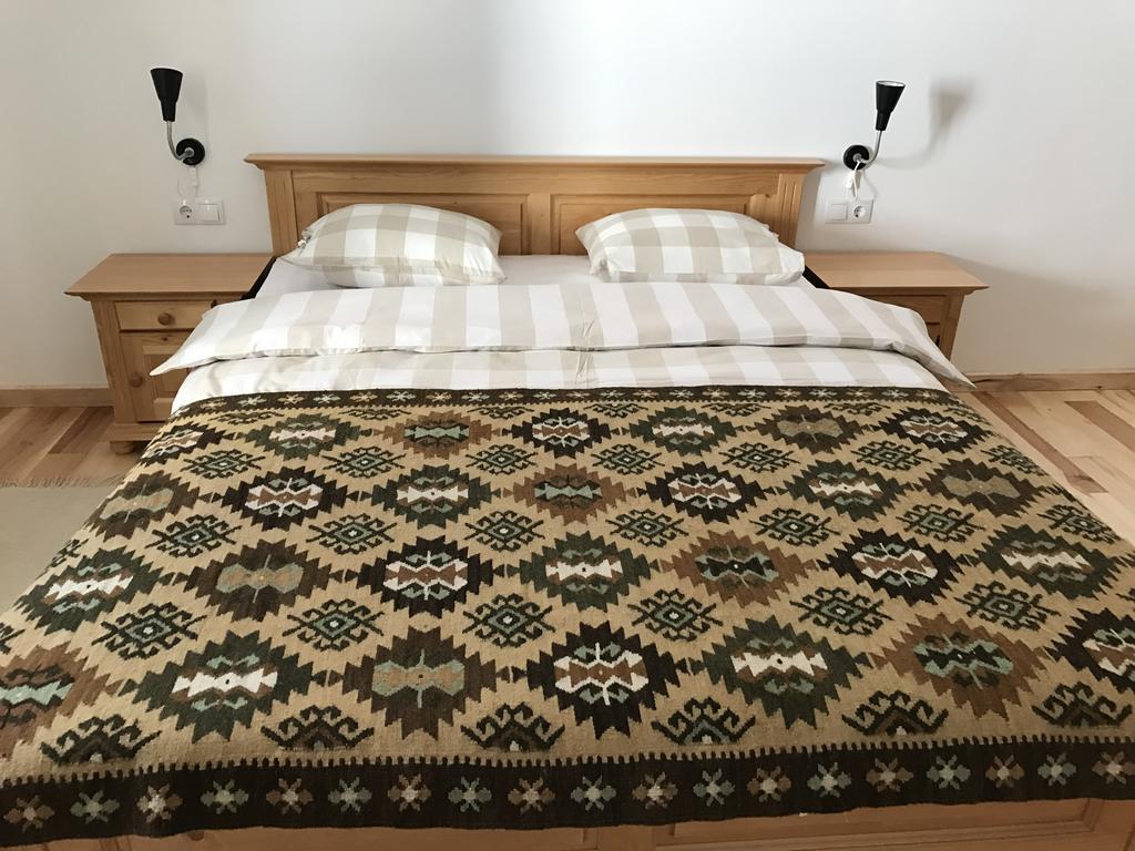 Anahouse Hotel Vişeu de Sus Екстериор снимка